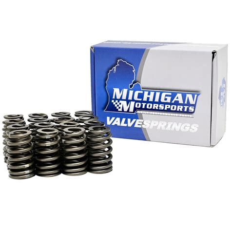 Michigan Motorsports Reviews